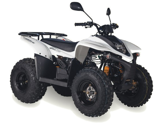 Фото квадроцикла Baltmotors Jam 100