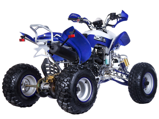 Фото квадроцикла IRBIS 250S